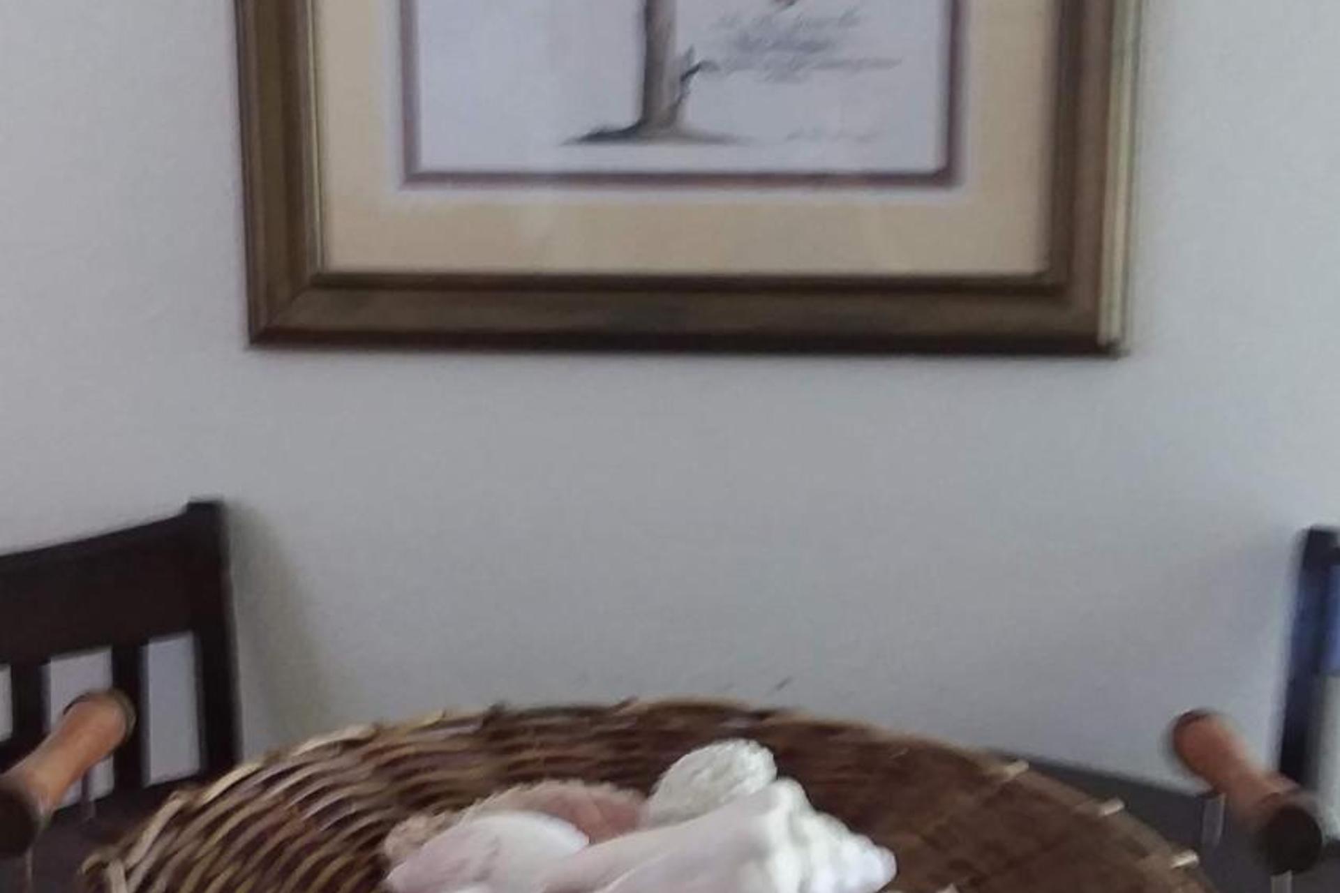 Hotel Casa de Tortuga Guesthouse